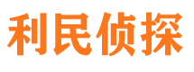 洛龙侦探公司